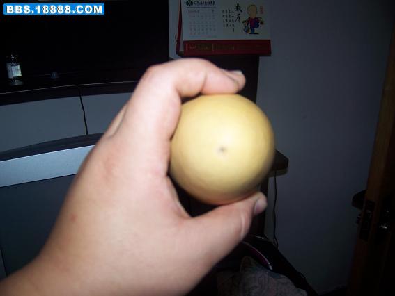 100_1684.JPG