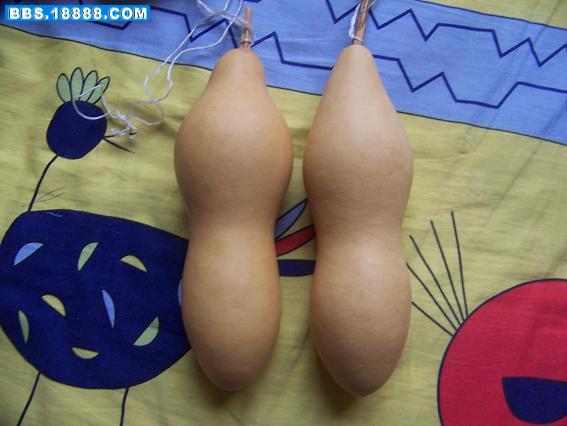 100_3478.JPG