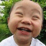 222.GIF