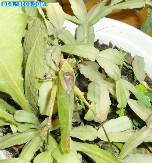 照片 038.jpg