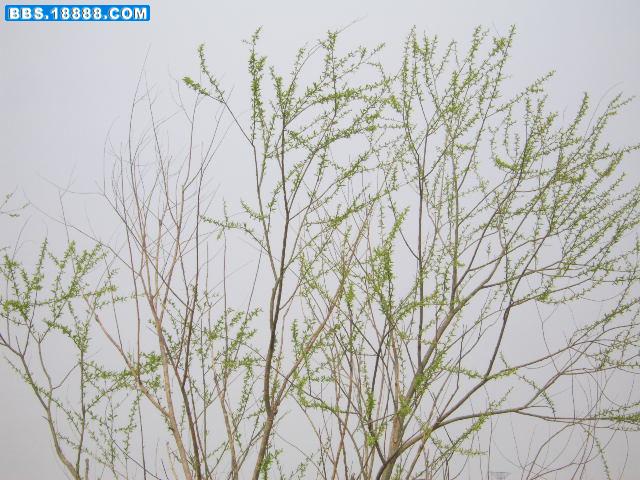 照片 020.jpg