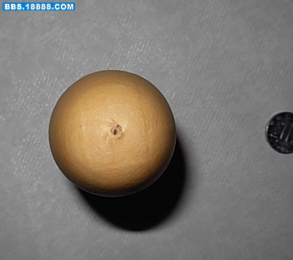 竹蛉棒子4.JPG