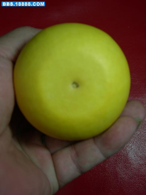 照片 150.jpg