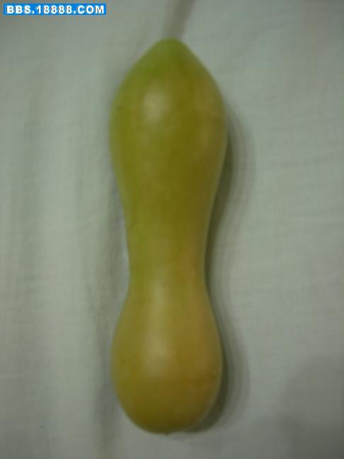 照片 037.jpg
