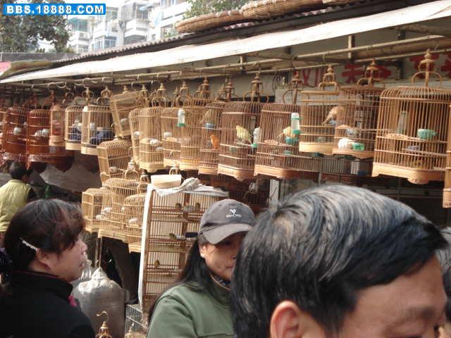 DSC00998.JPG