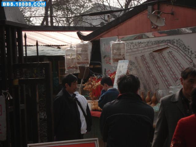DSC00985.JPG