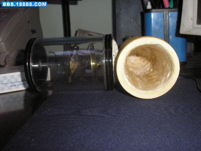 P9280008.JPG