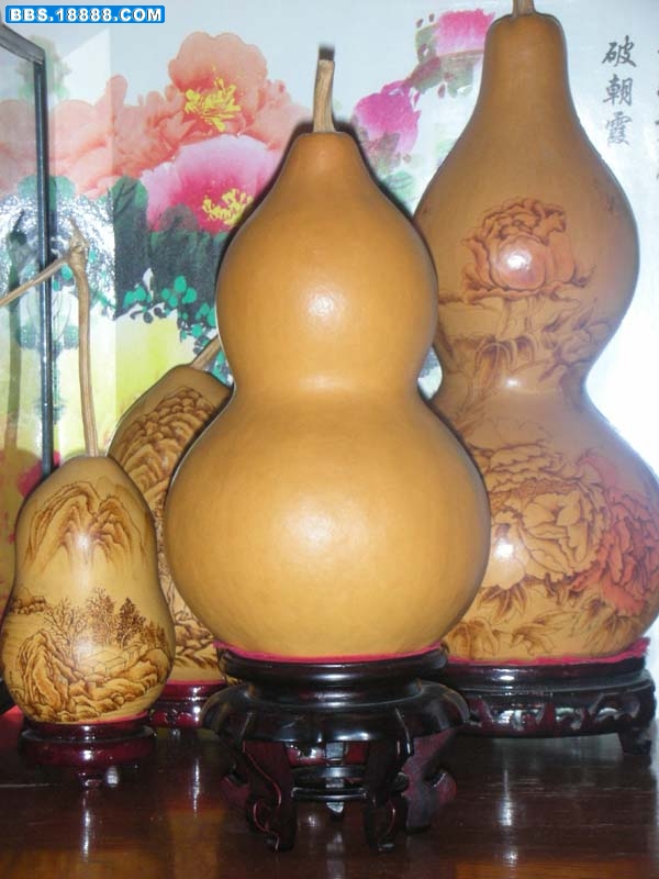 DSCN1877.jpg