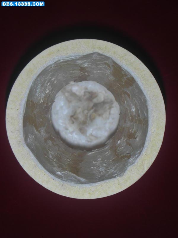 DSCN2146.jpg