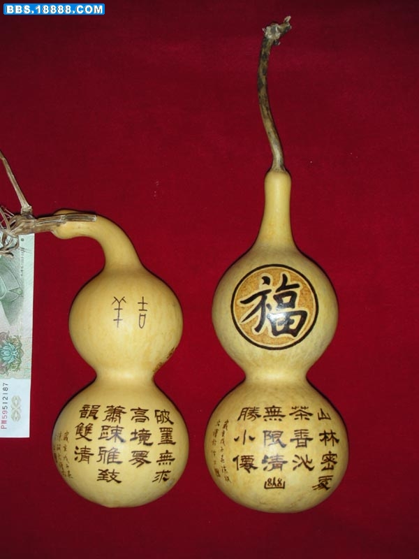 DSCN2315.jpg