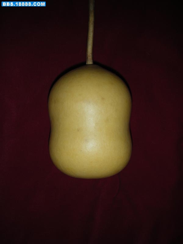 DSCN2399.jpg
