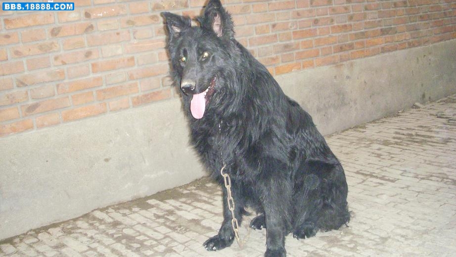 DSCN1536.jpg