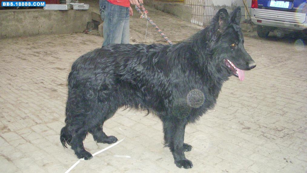 DSCN1587.jpg