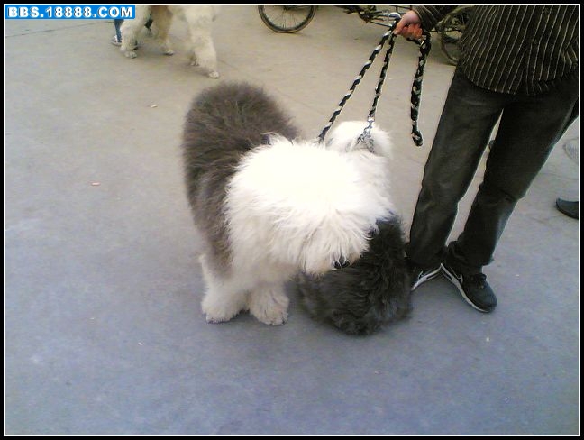 Image(611)_nEO_IMG.jpg