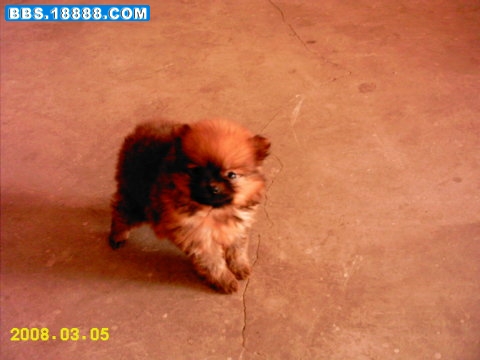 IMAG0166.JPG