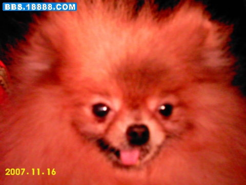 IMAG0095.JPG