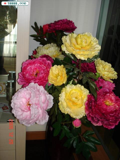 DSC03361.jpg