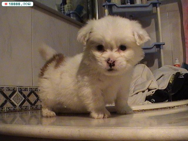 DSC05443.JPG
