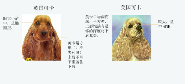 美英区2.jpg