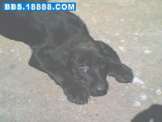 img002.jpg