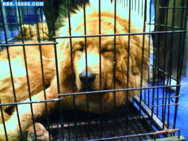 img002.jpg