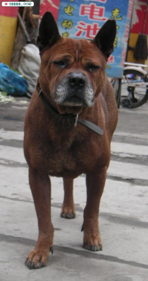 PICT0009.JPG