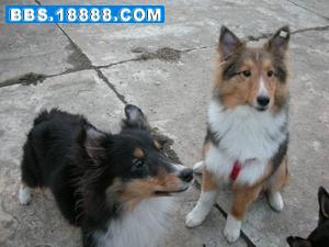 DSCN0127.jpg