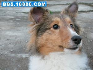 DSCN0152.jpg
