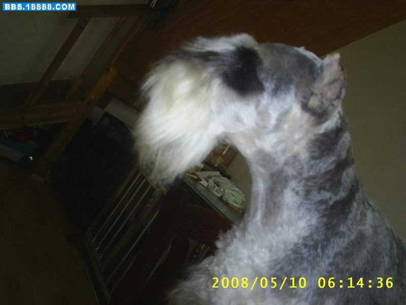 S3012426.JPG