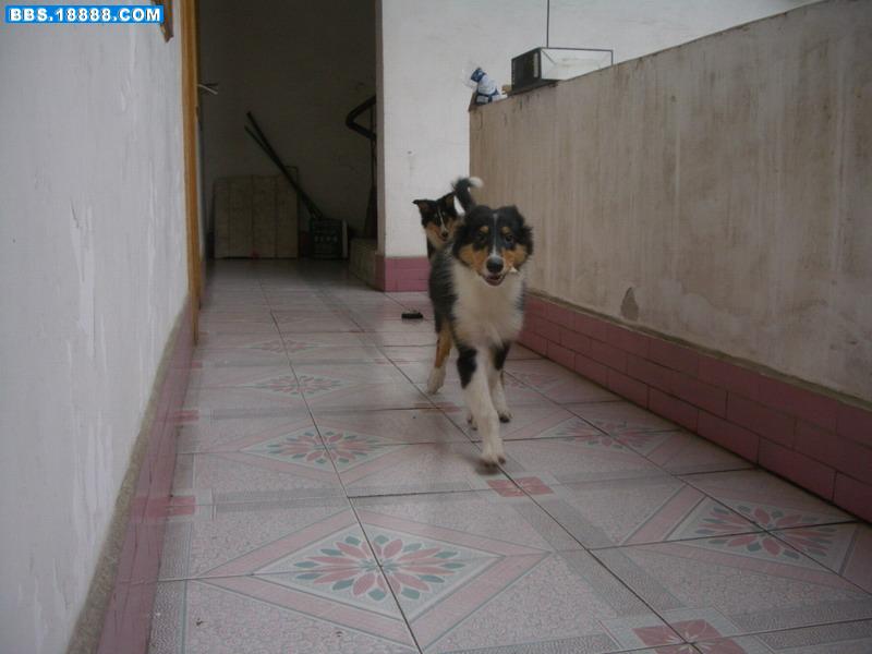 IMGP7051.JPG