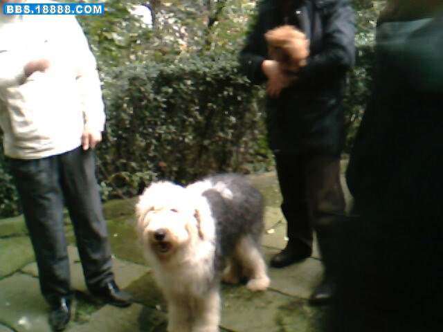 IMG1614A.jpg