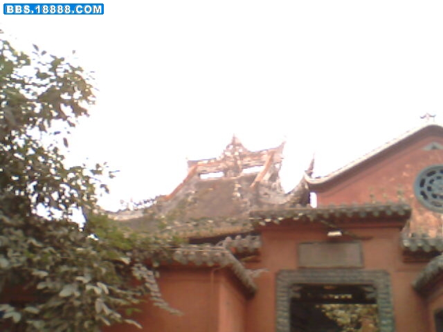 IMG1695A.jpg