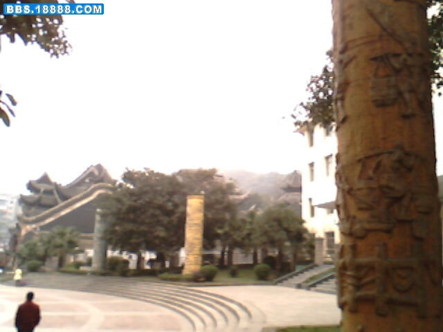 IMG1686A.jpg