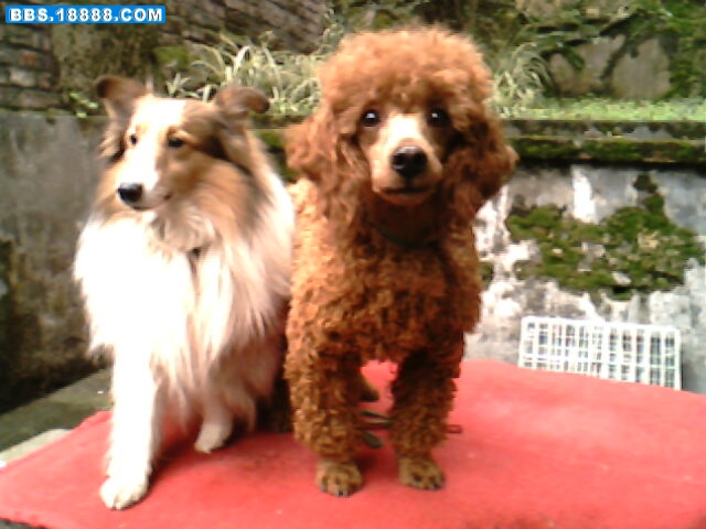 IMG1556A.jpg