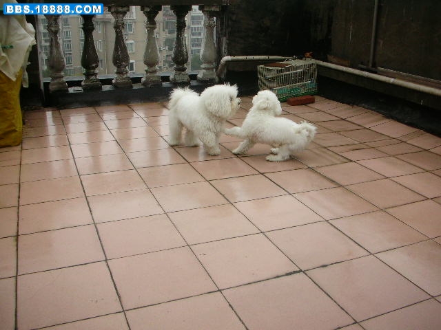 DSCN5284.JPG