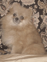 200611211600.gif