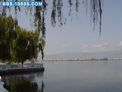 DSC00427_调整大小.JPG