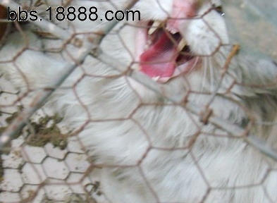 21_123849_98395e54fcc2b7e.jpg