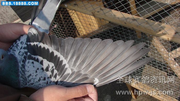 fc33da24-b8f1-490b-80bf-54dab8946a71_700.jpg