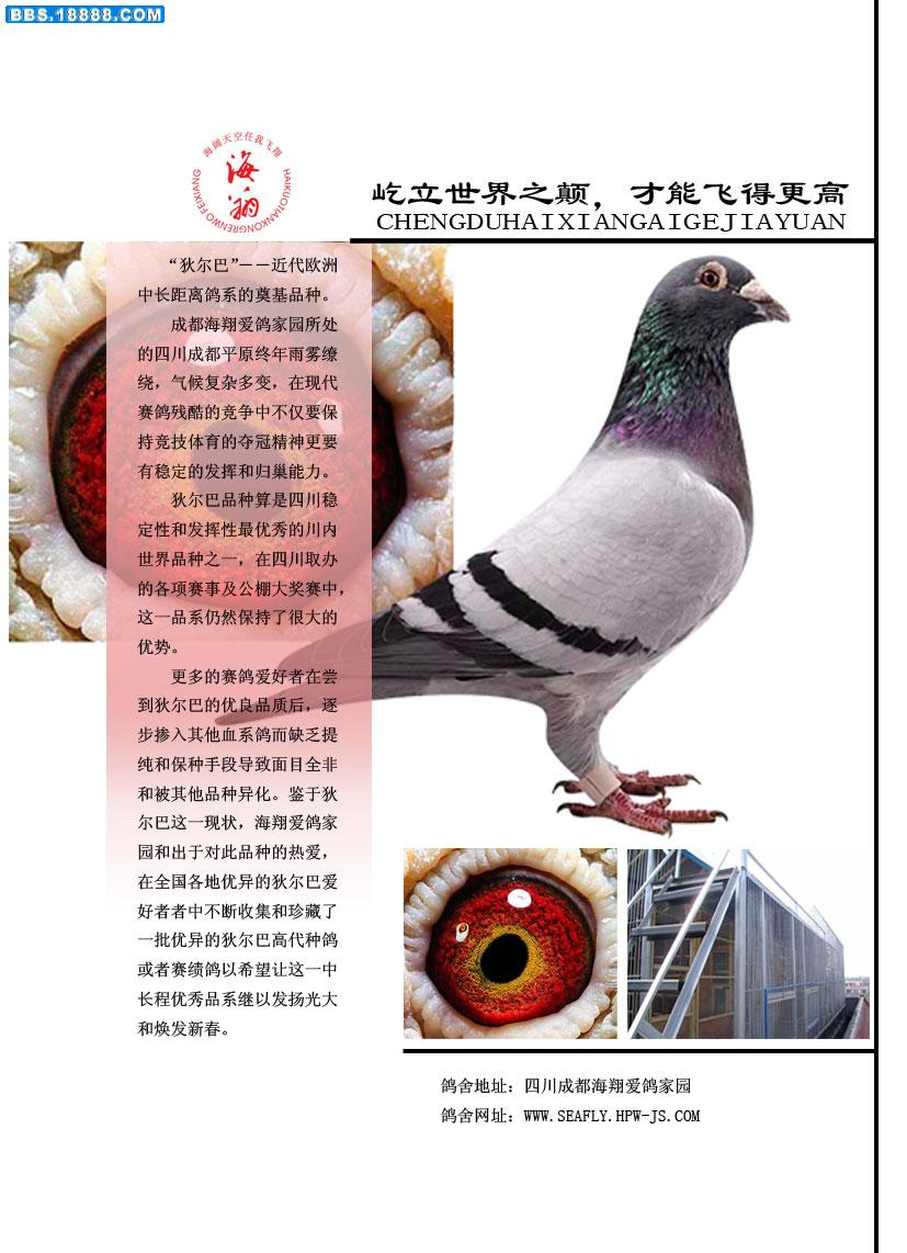 b888ae09-4515-48f9-a415-524f09a2ea46_827.jpg