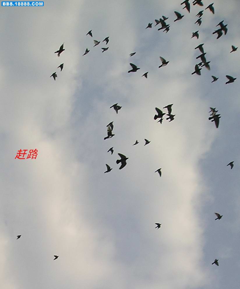 照片24~3.JPG