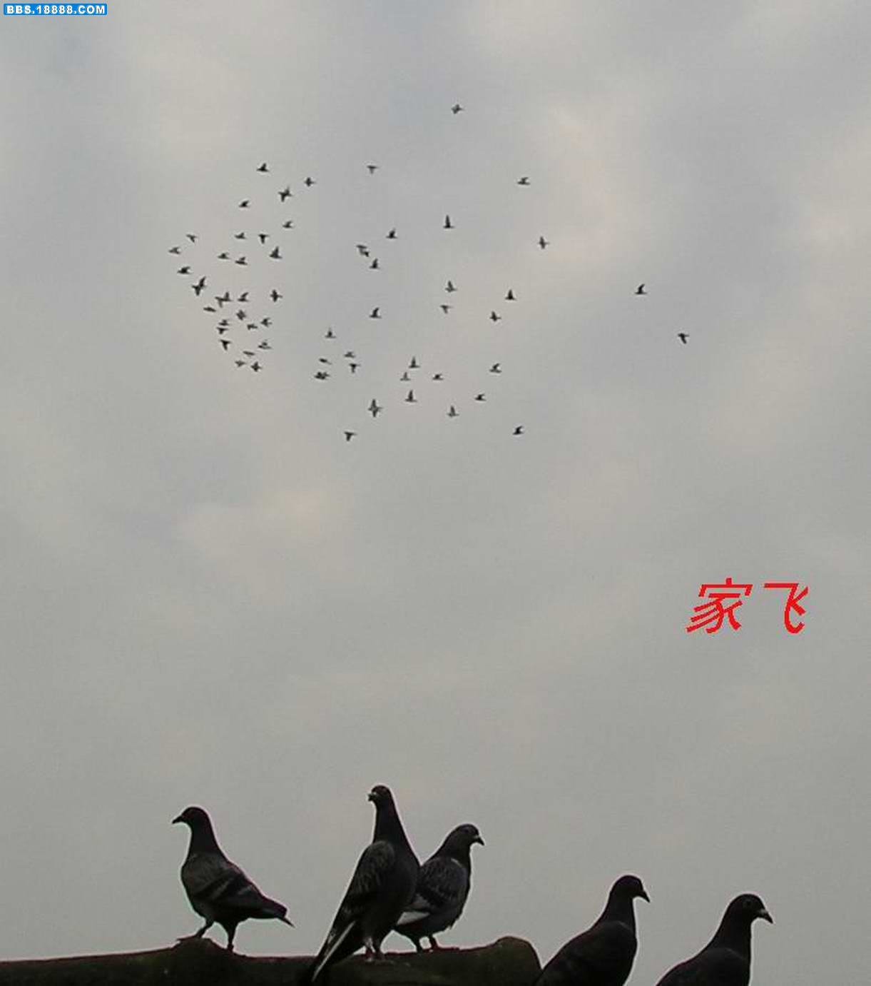 照片24~2.JPG