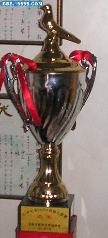 照片 119.jpg