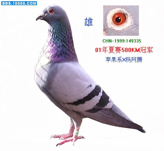 照片 005.jpg