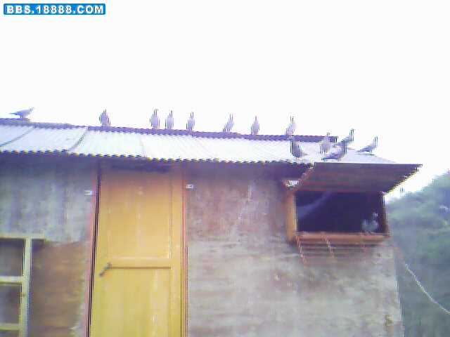 IMG0197A.jpg