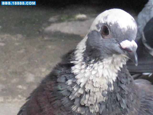 照片 233.jpg