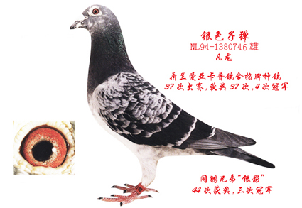 银色子弹.jpg