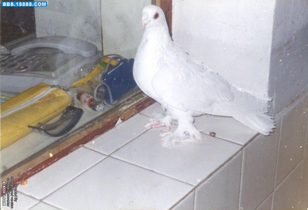 Image00007.jpg