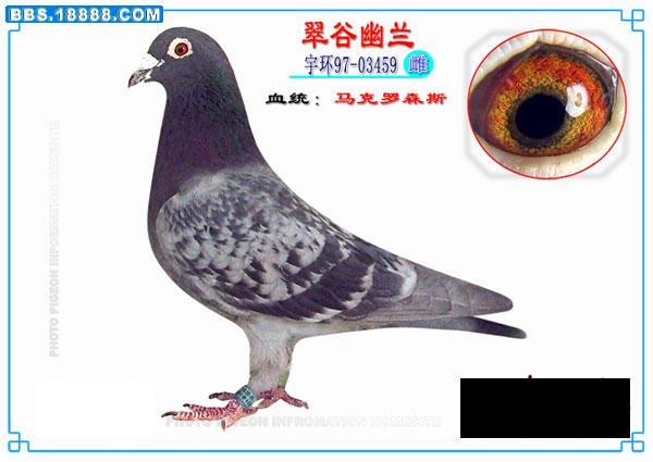 马克图片.jpg