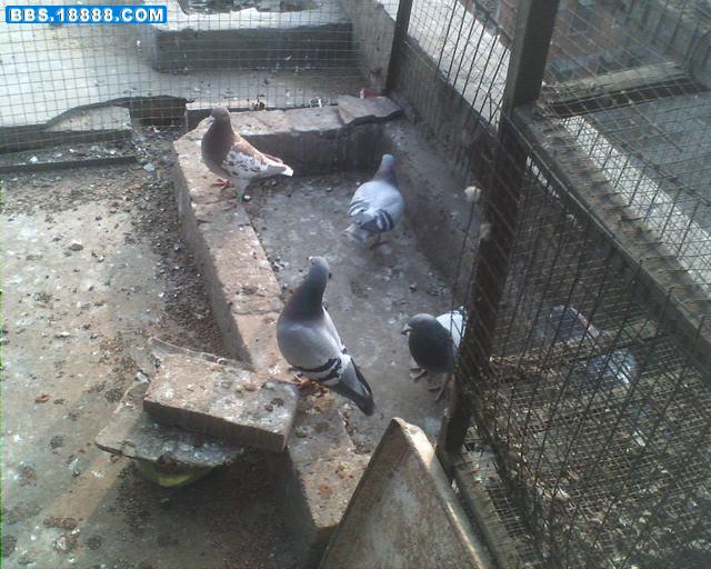 IMG0759A.jpg
